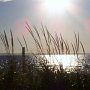 Le camping porte bien son nom: soleil couchant sur le lac Saint-Jean, vu de notre emplacement